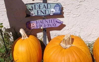 Do You Know What was Scary in Halloween 2024?
